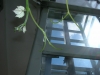 dscn1094